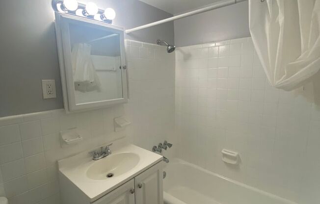 1 bed, 1 bath, $1,695, Unit 3