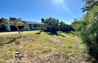 Country Living in the City