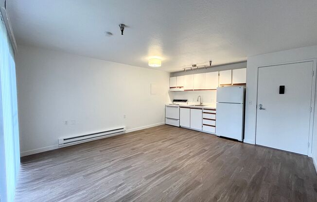 1 bed, 1 bath, 480 sqft, $1,395, Unit 114