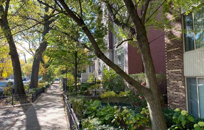 Tree-Lined Streets