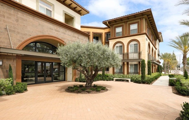 a tree in the middle of a driveway in front of a building