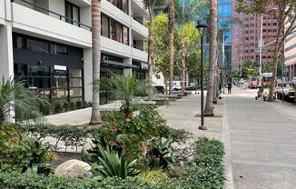 2 beds, 2 baths, 1,100 sqft, $2,999.99, Unit #1206