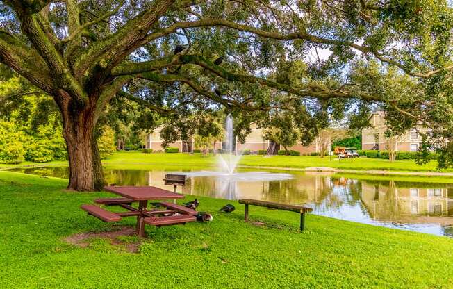 Picnic Area at Laurel Oaks Apartments in Tampa, FL