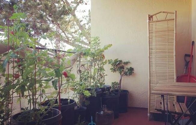 1 bed, 1 bath, $2,300, Unit 105