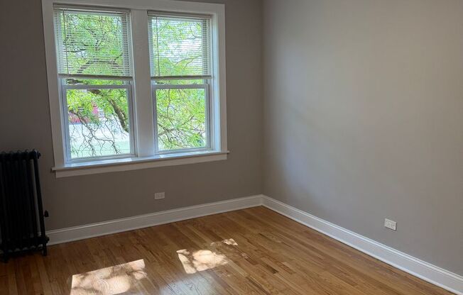 Albany Park Apartments!