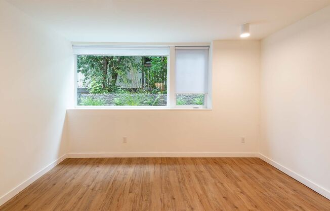 Studio, 1 bath, 246 sqft, $1,200, Unit 01