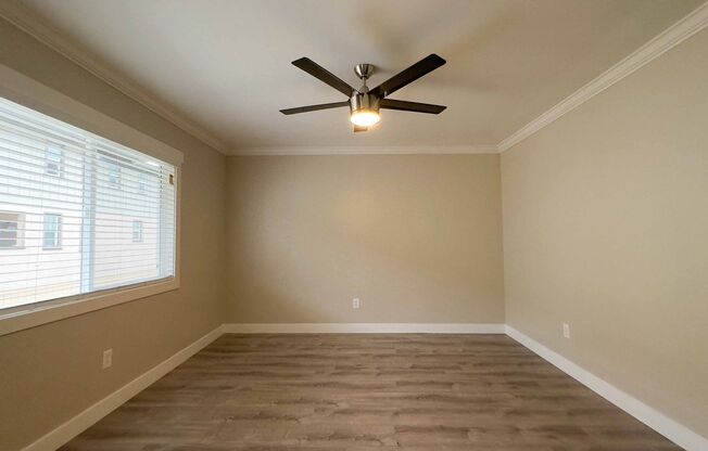 Xav 424 Emerald Avenue