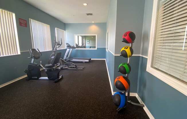 Fitness center with a mirror on the back wall, medicine balls, treadmill, elliptical, and stationary bike