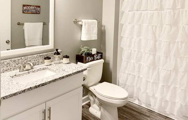 bathroom with granite countertops, wood-style floor, and updated bathroom fixtures