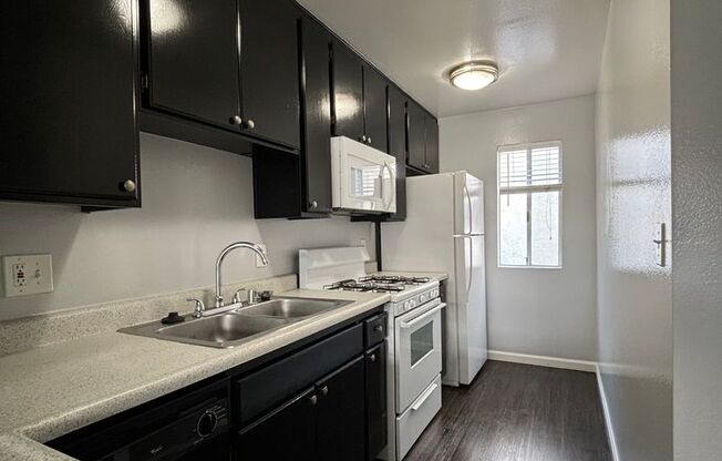 Studio, 1 bath, 455 sqft, $1,885, Unit 53-105