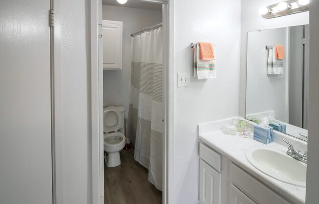 a bathroom with a sink and a toilet and a shower