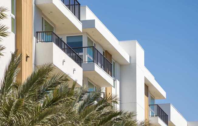 A white building with balconies and palm trees in front. at Elements Apartments*, Irvine, CA