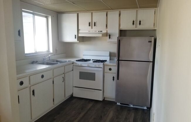 Charming, Affordable One-Bedroom Condo in 55+ Orchid Springs Community