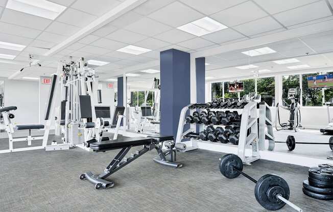a gym with weights and dumbbells and other exercise equipment