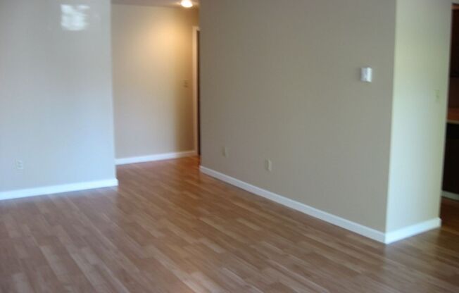 1 bed, 1 bath, 720 sqft, $1,050, Unit 310