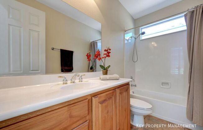229 MULDOWNEY