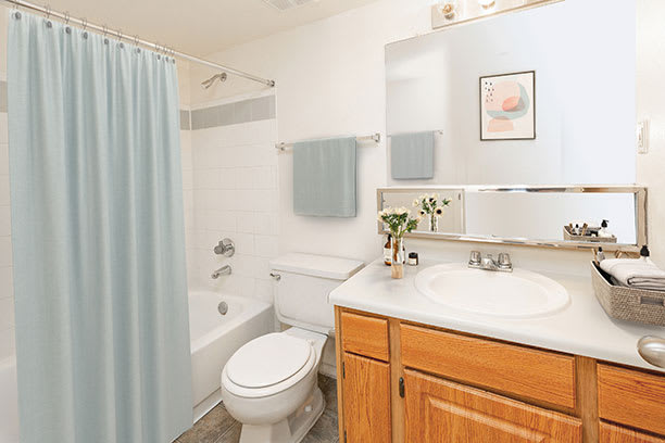 Luxurious Bathroom with Tub and Shower at River Point Apartments, Arizona