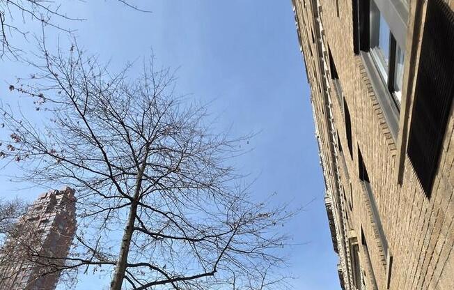 1 bed, 1 bath, $5,500, Unit 10I