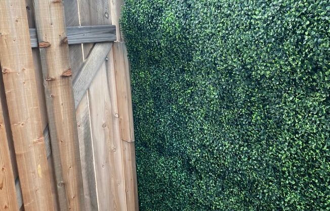 Cozy Studio, 1 Bath rental in Normal Heights for Rent