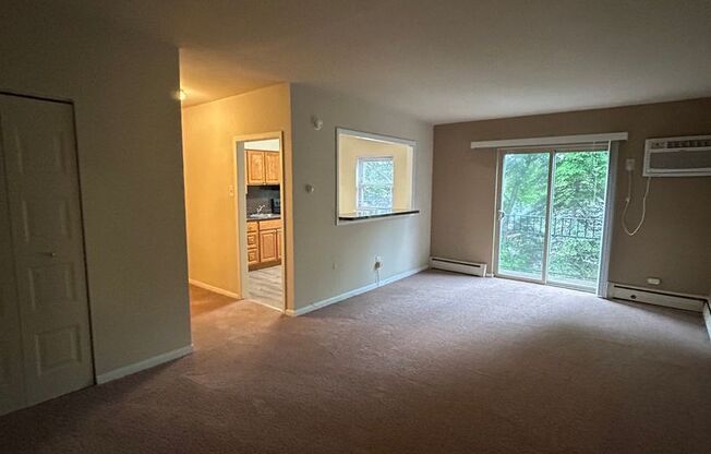 1 bed, 1 bath, 700 sqft, $1,250, Unit C306