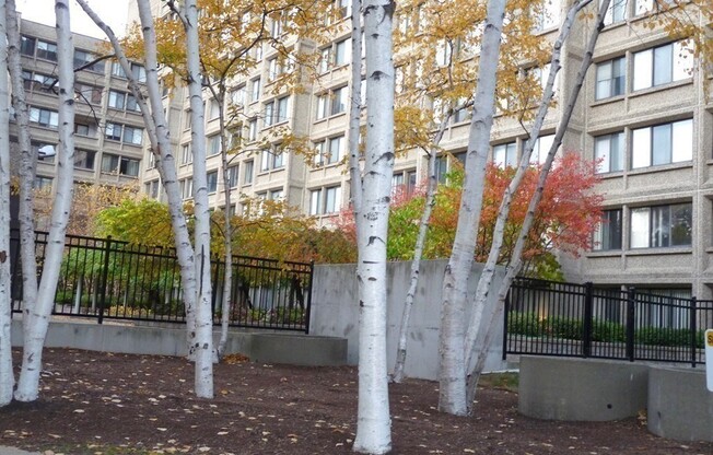 1 bed, 1 bath, 684 sqft, $3,050, Unit 420