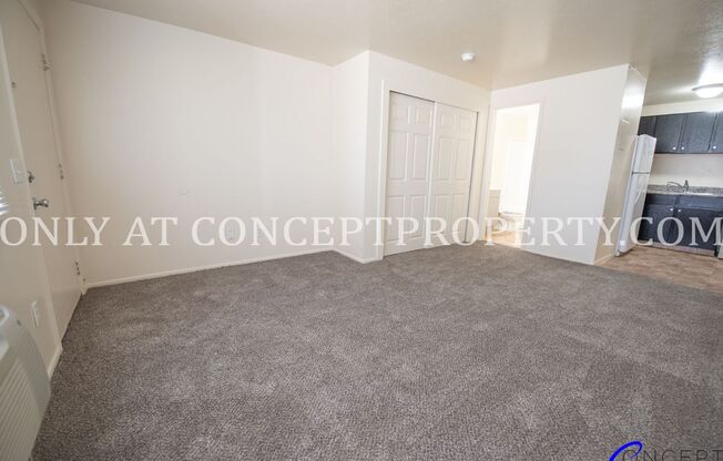 Studio, 1 bath, 360 sqft, $699, Unit 234