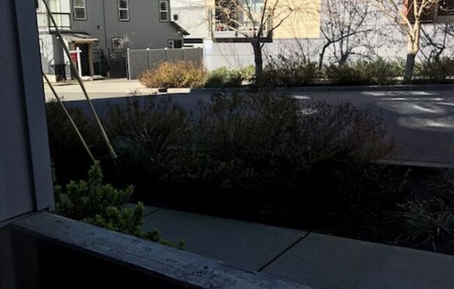 1 bed, 1 bath, 516 sqft, $1,215, Unit 3-114