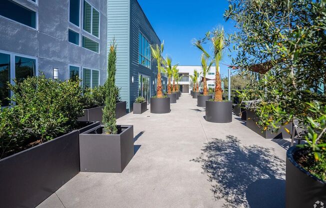 1 bed, 1 bath, 680 sqft, $2,895, Unit Unit 304