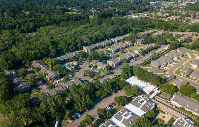 Pear Orchard Aerial