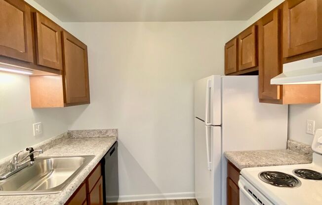 1 bed, 1 bath, 700 sqft, $1,095, Unit #302