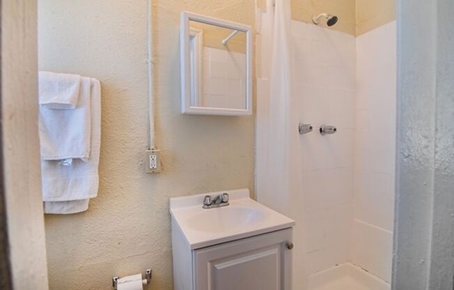 Studio, 1 bath, 196 sqft, $1,095, Unit 18