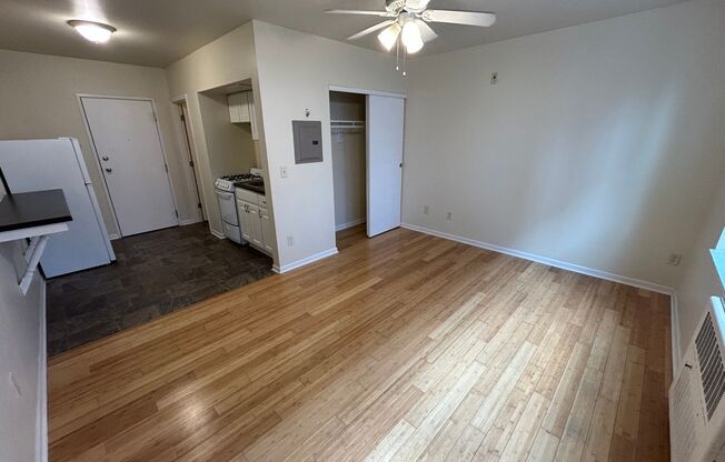 Studio, 1 bath, $825, Unit 207