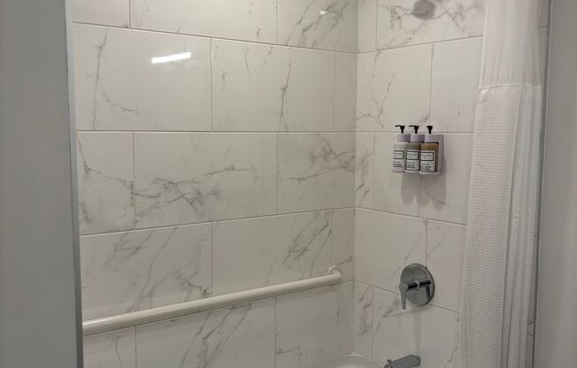 Studio, 1 bath, 389 sqft, $1,599, Unit 210