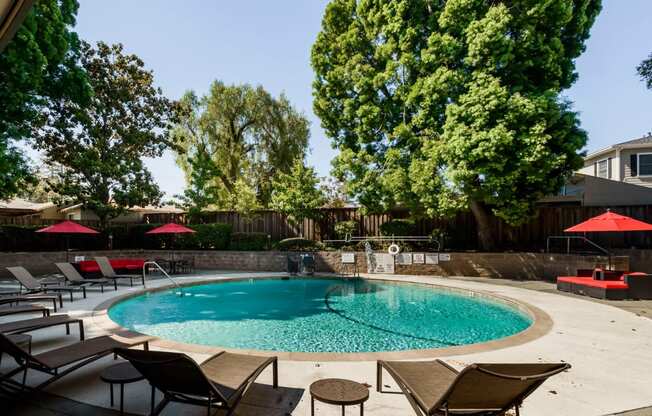 Apartments for Rent in Palo Alto, CA - Palo Alto Place - Round Pool with Lounge Chairs, Lounge Beds, Umbrellas, and Trees.