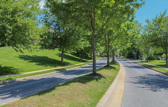 Green Space at Cascades Overlook Apts., Owings Mills, 21117