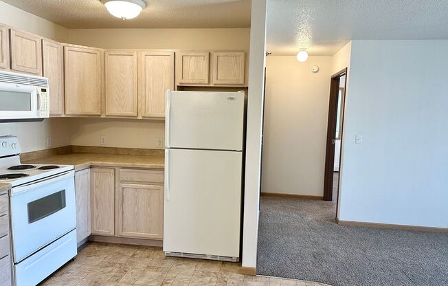 3 beds, 2 baths, 1,297 sqft, $1,250, Unit 302