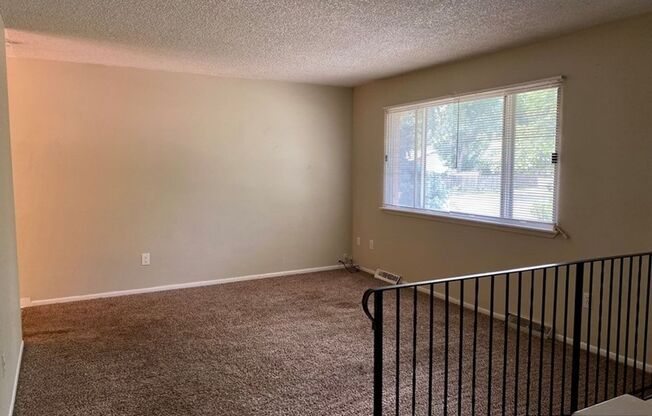 Cute House with Amazing Yard!