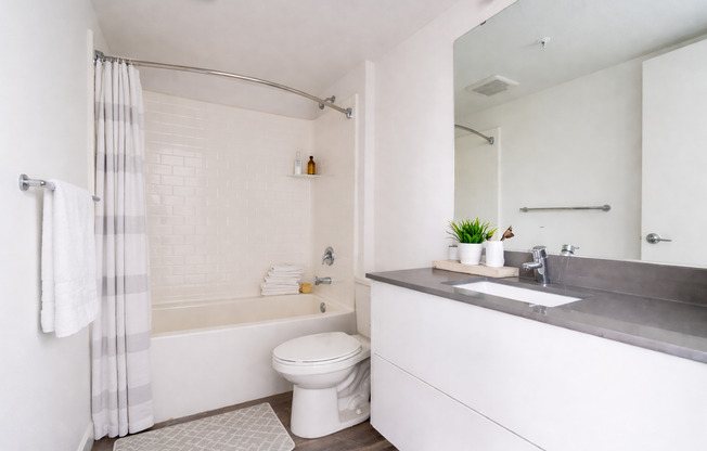 Studio, 1 bath, 280 sqft, $1,295, Unit 401