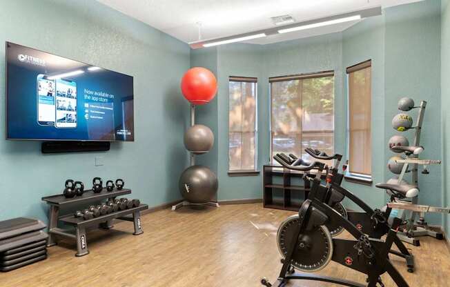 A gym room with a row of dumbbells and a row of exercise balls.