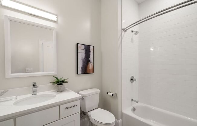 1 bed, 1 bath, 713 sqft, $2,600, Unit 305