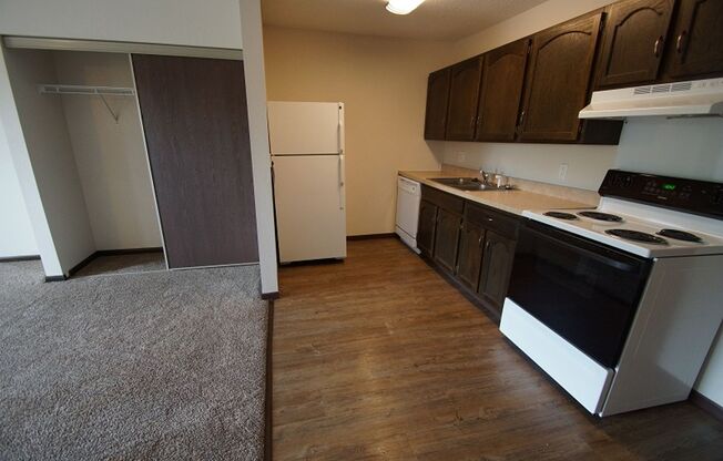 Studio, 1 bath, 710 sqft, $1,194, Unit 307