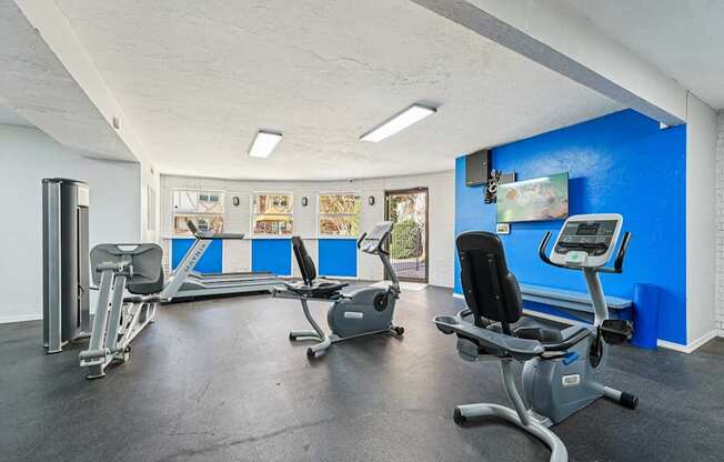 A gym with a blue wall and exercise equipment.
