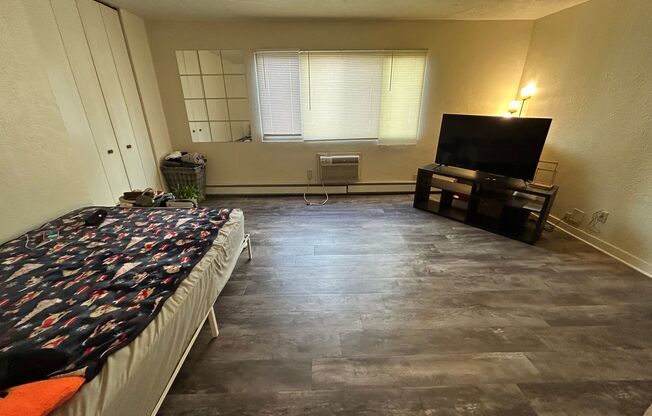 Studio, 1 bath, $750, Unit 317