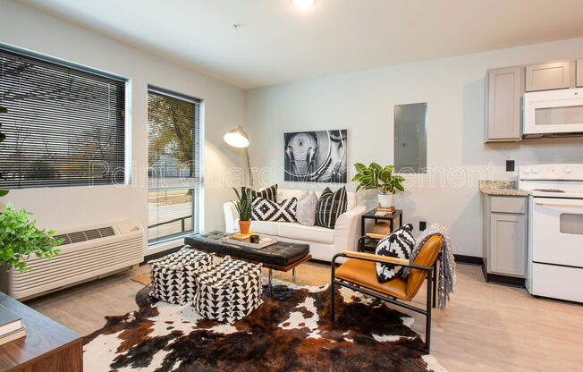 1 bed, 1 bath, 500 sqft, $825, Unit 305