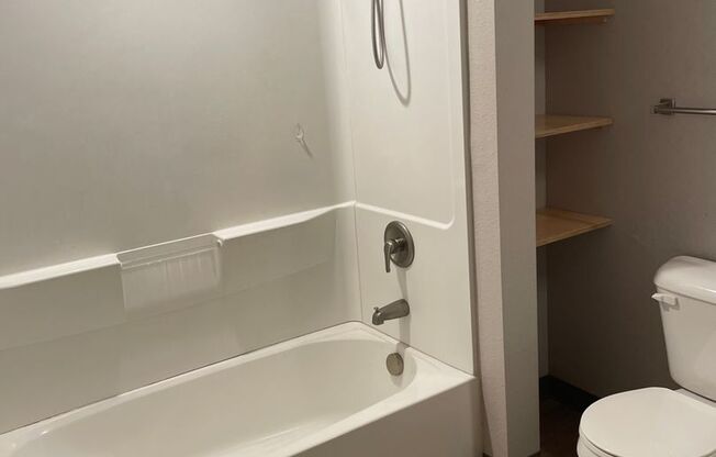 Studio, 1 bath, 734 sqft, $1,495, Unit 308