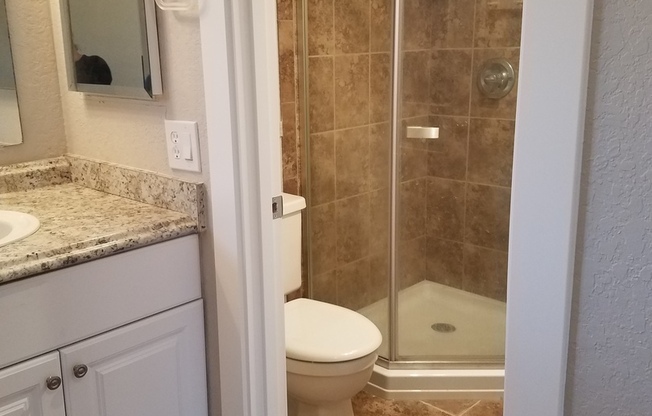 Ready for move in! Top Floor Condo with Fireplace-Vaulted Ceilings-W/S/T and Parking included in rent