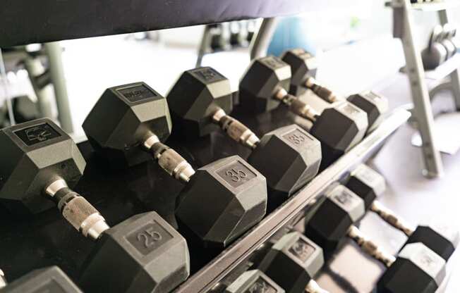 Free Weights At The Fitness Center