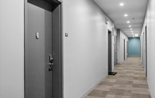 Studio, 1 bath, 506 sqft, $1,875, Unit 508