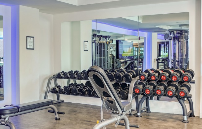 Floor to ceiling mirrors with free weights in this brightly lit, newly redesigned fitness center