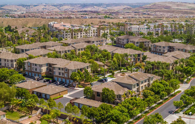 A bird's eye view of community